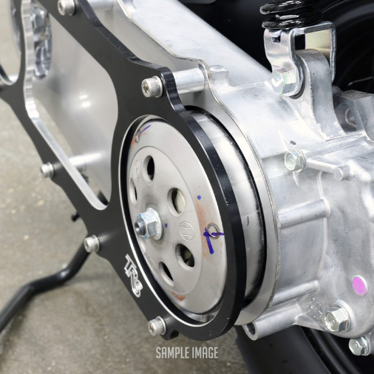 Honda Ruckus 49cc GET Motor Anklebiter Backing plate and spacers - The ...